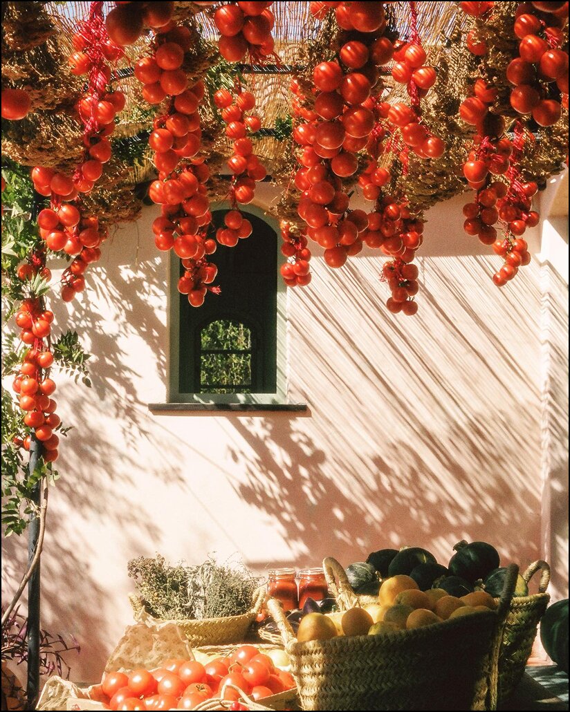 Heirloom Tomato Glass Hand Soap