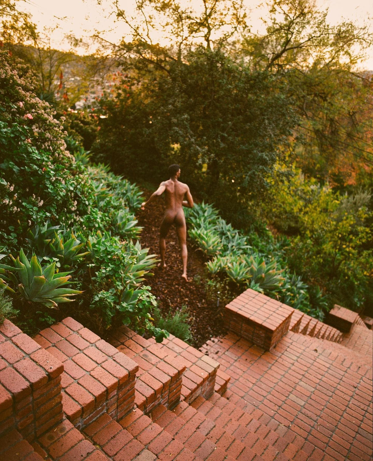 A person is walking through lush greenery down a path in a garden.