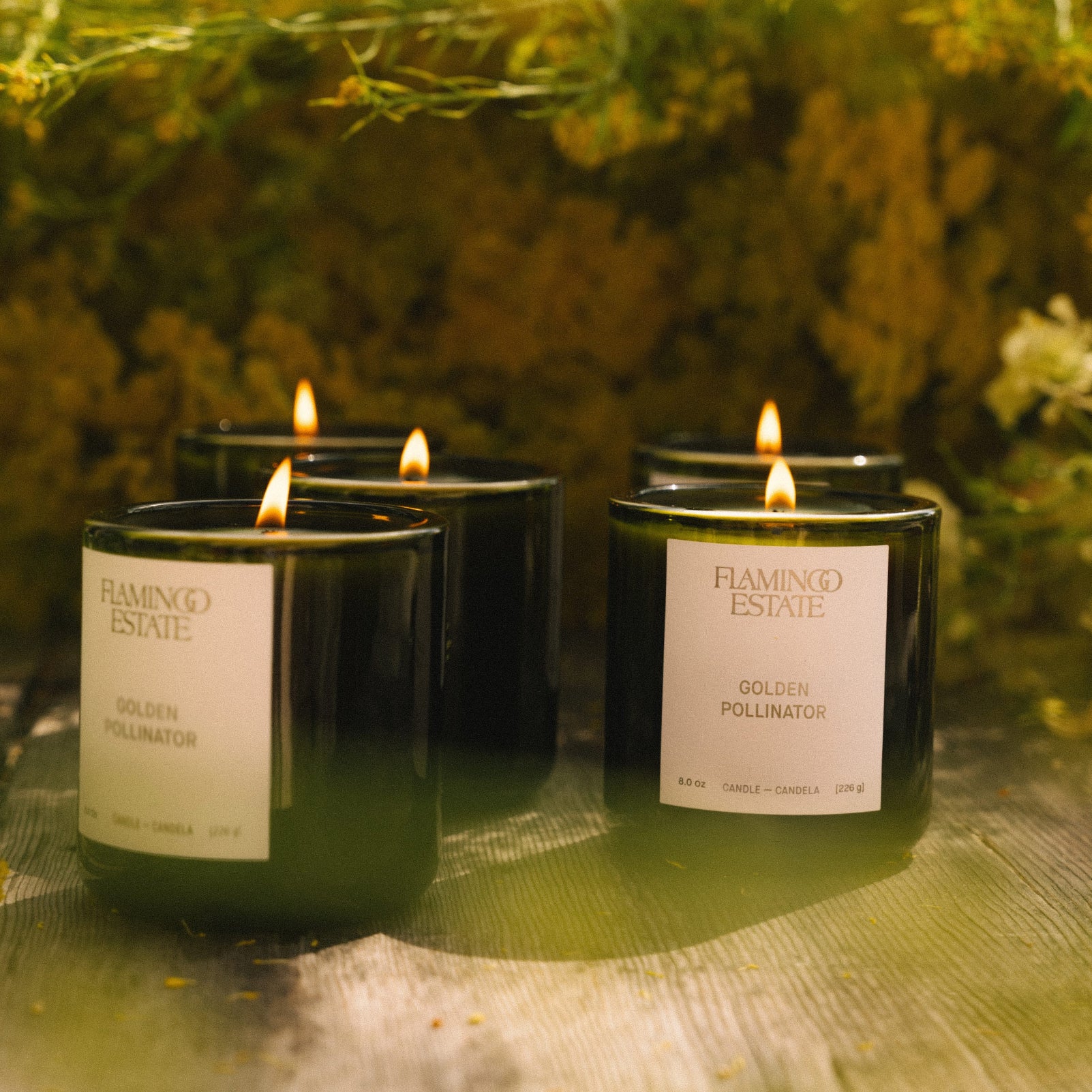 Golden Pollinator Candle - Flamingo Estate