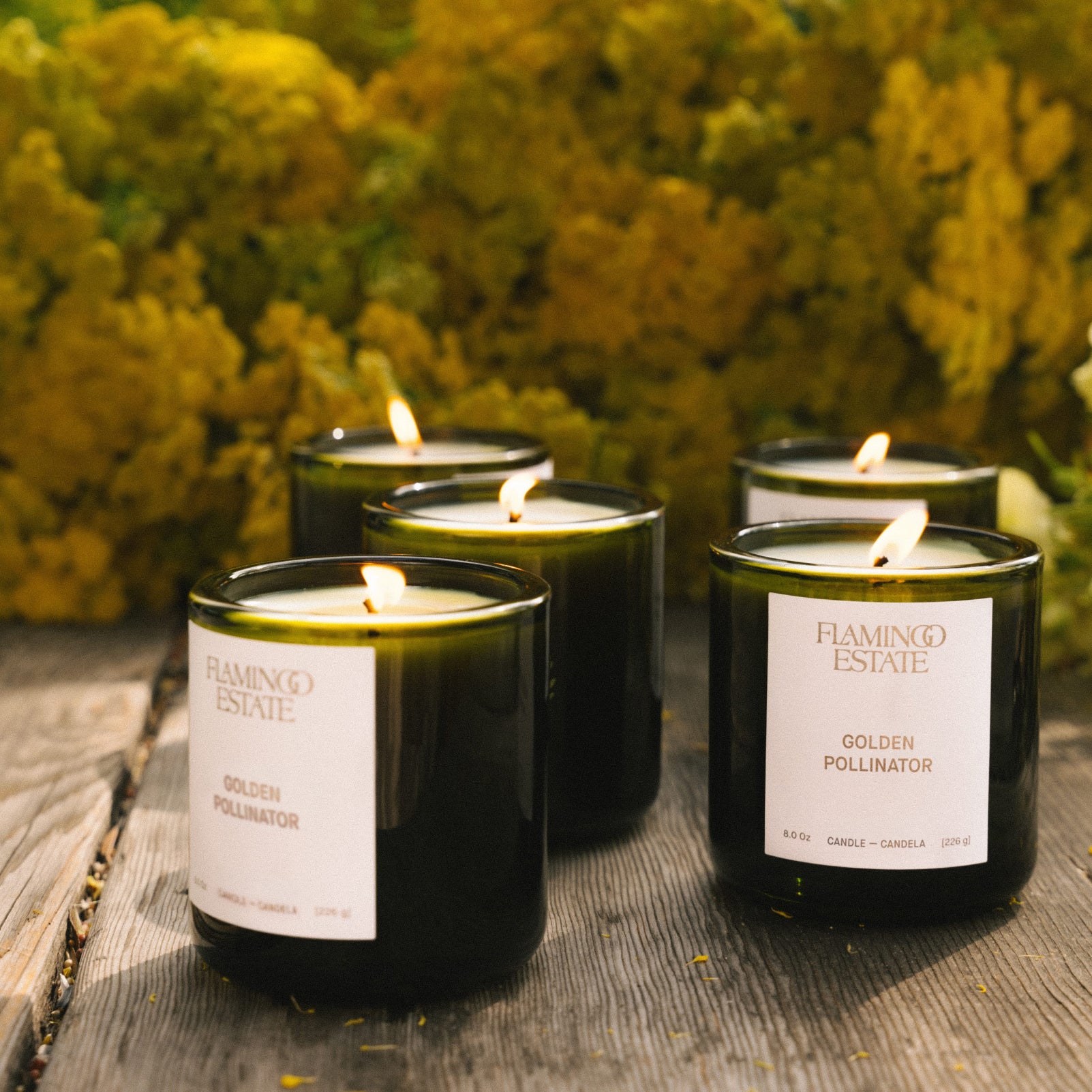 Golden Pollinator Candle - Flamingo Estate