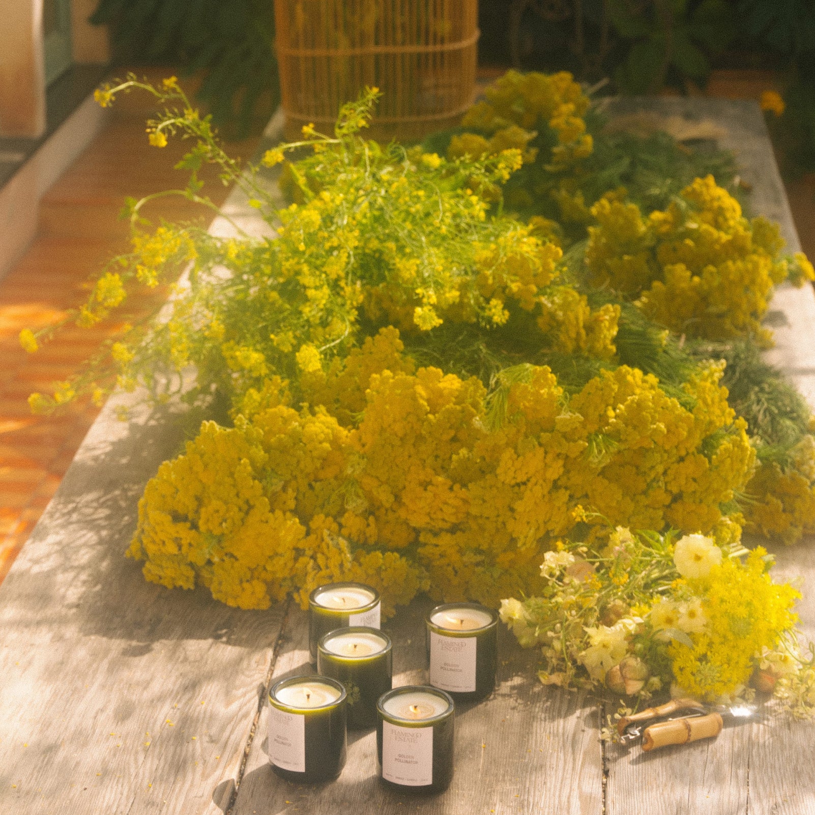 Golden Pollinator Candle - Flamingo Estate