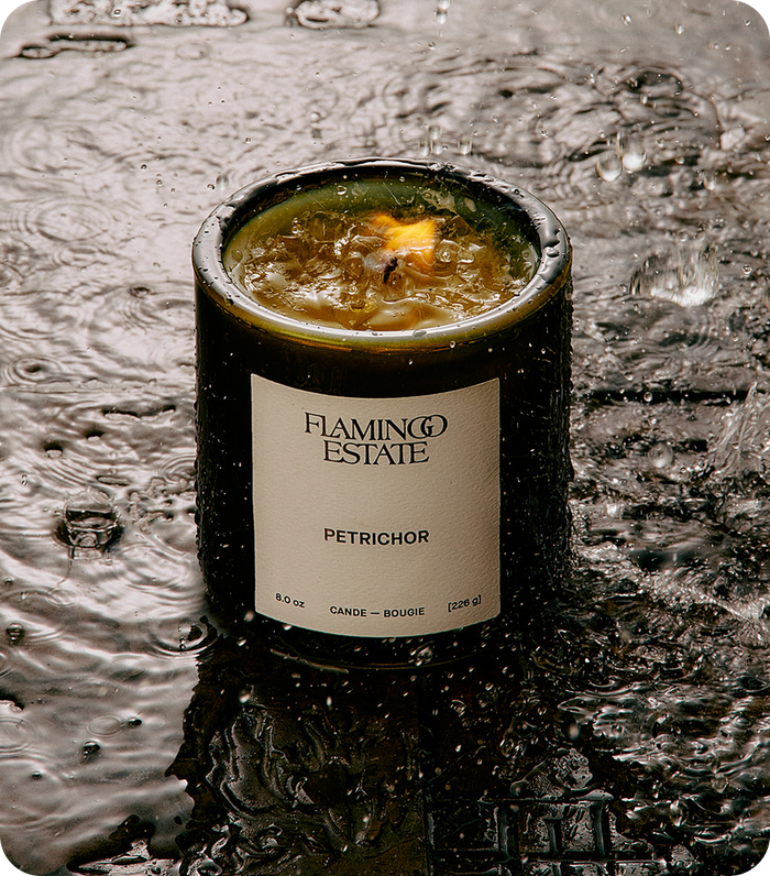 The Smell of <br>Earth after Rain