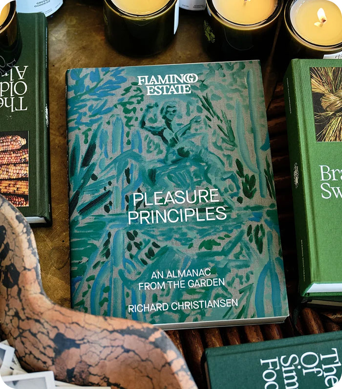 My New Book