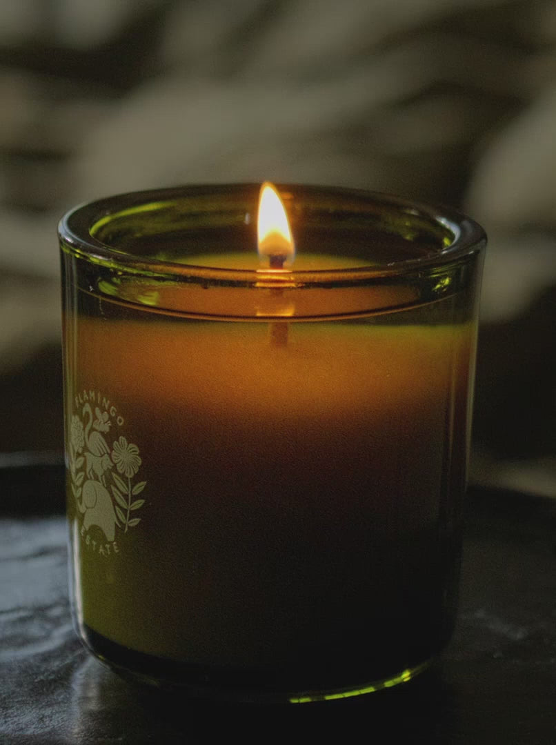 Night Blooming Jasmine & Damask Rose Candle – Flamingo Estate