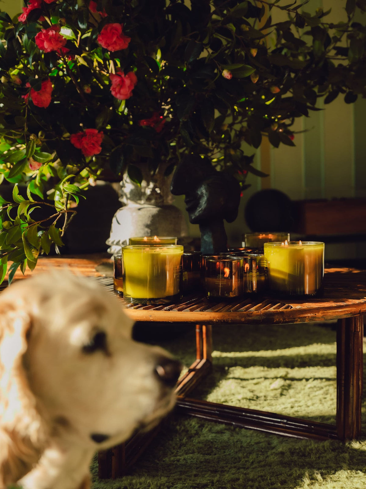 Candles sit unlit on a wooden table, surrounded by floral arrangements with red blooms.