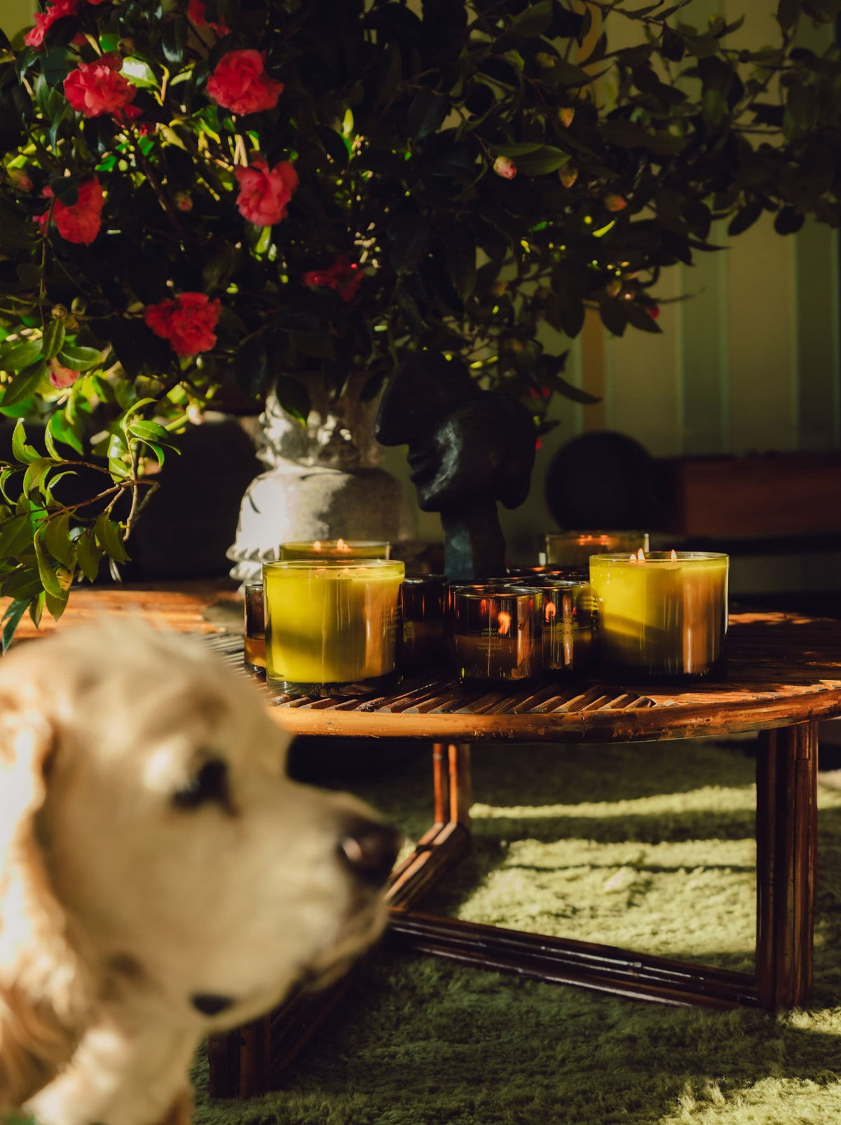 Personalized Jasmine Damask Rose Candle - Flamingo Estate