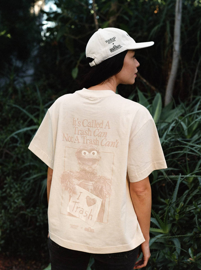 Sesame Street Boxy Tee - Flamingo Estate