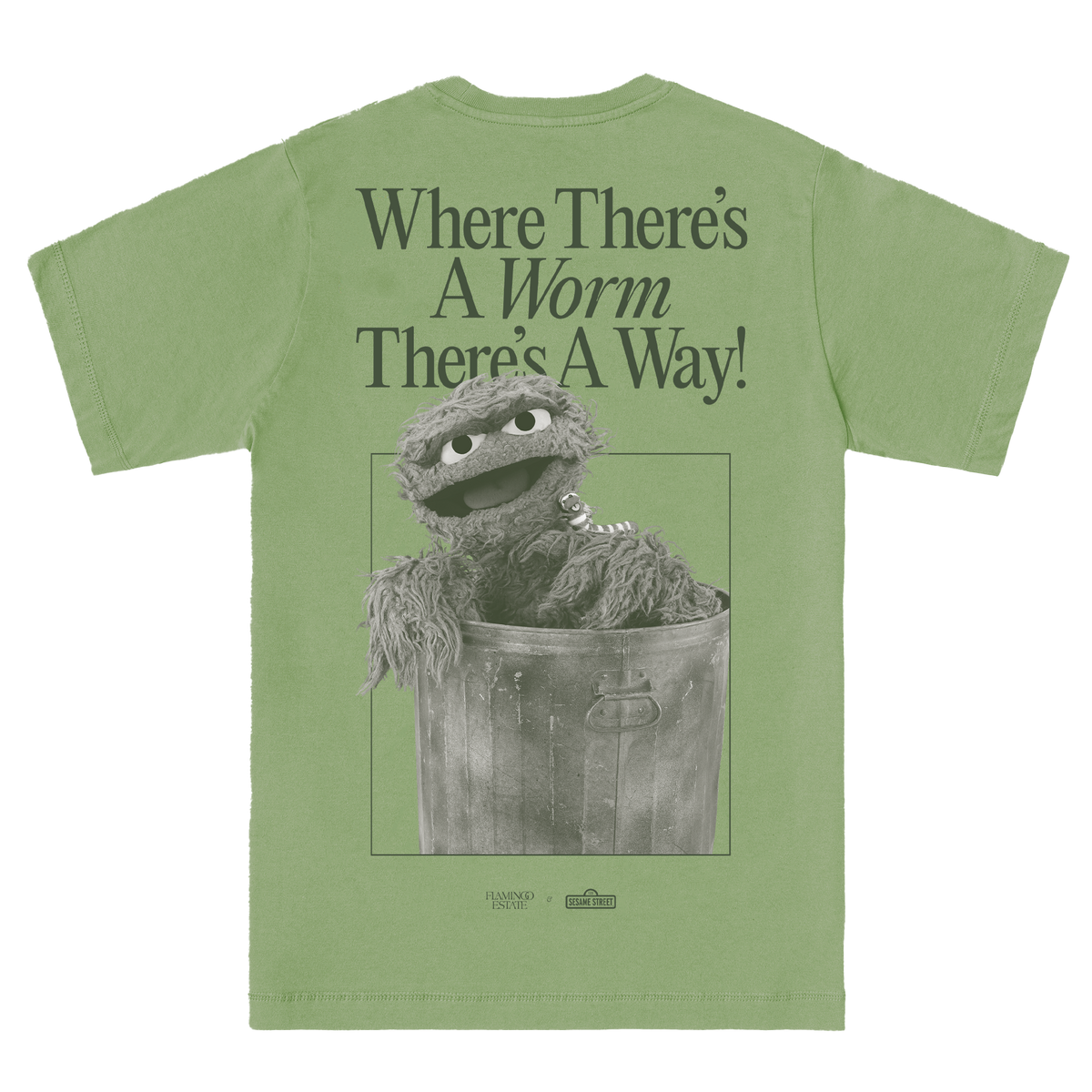 Sesame Street Tee Flamingo Estate