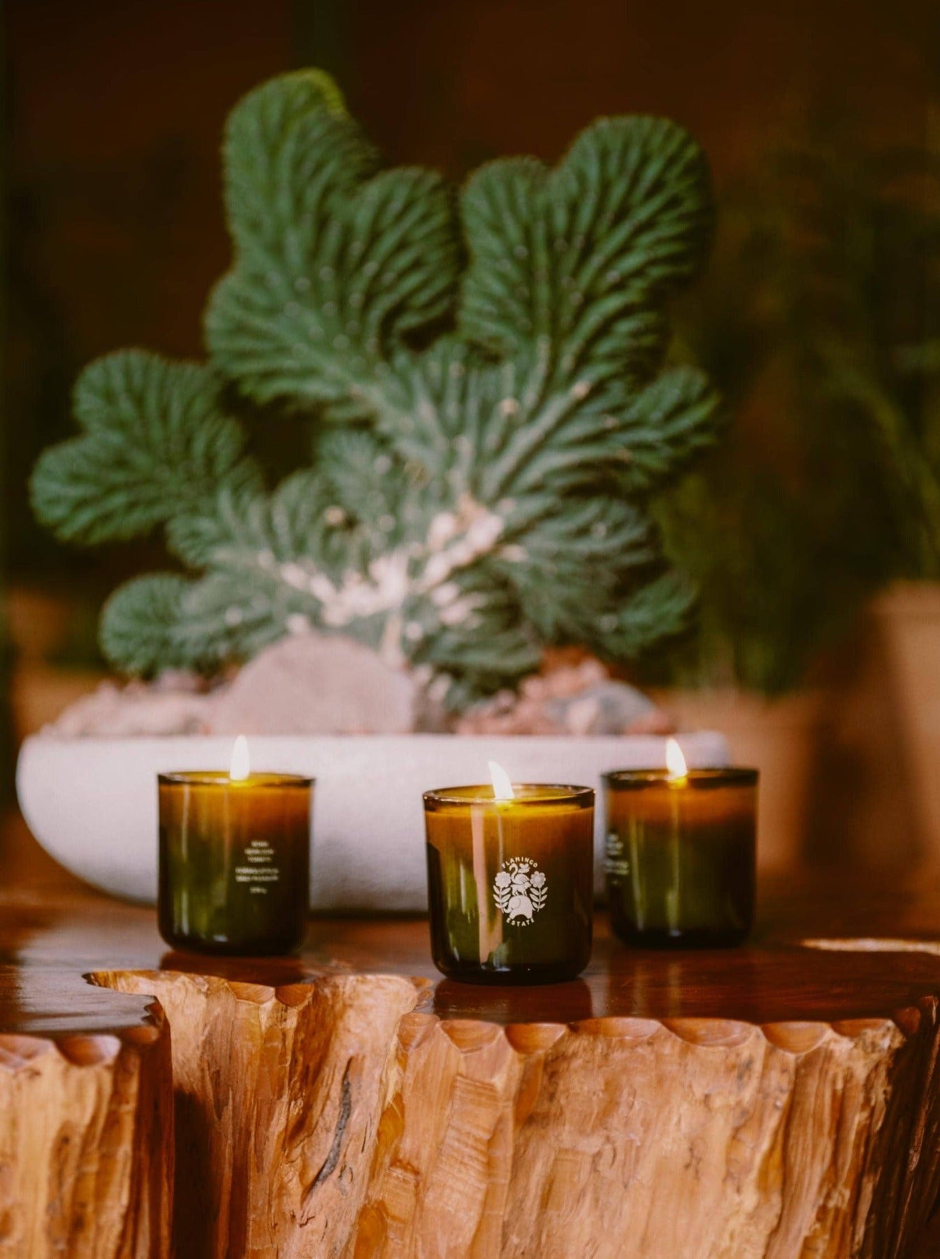 Natural Scented Candle Set – Three Brothers Candle Set – Flamingo