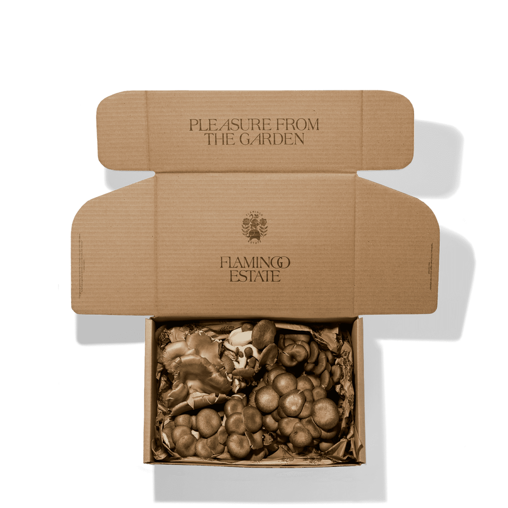 Organic Artisanal Mushroom Box - Flamingo Estate