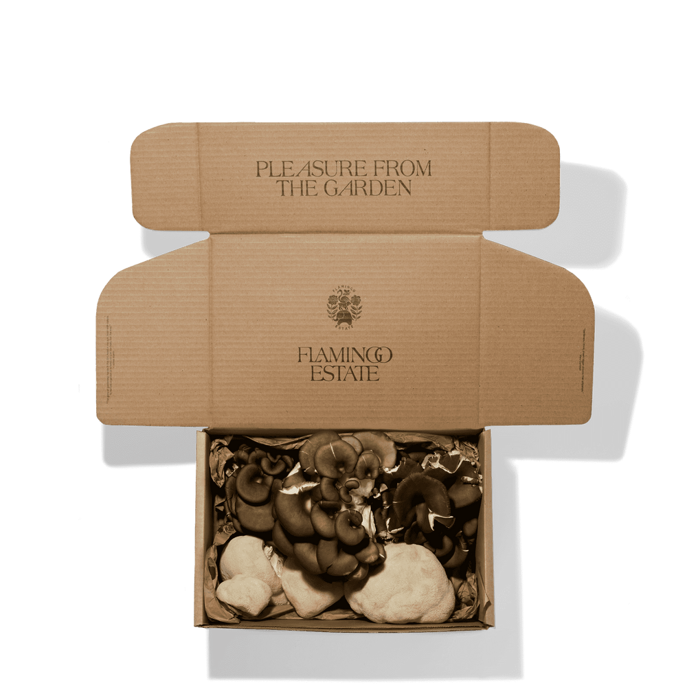 Organic Artisanal Mushroom Box - Flamingo Estate