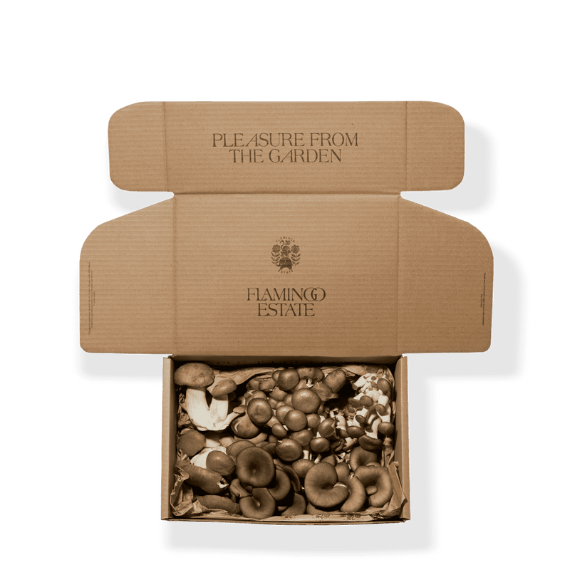 Organic Artisanal Mushroom Box - Flamingo Estate