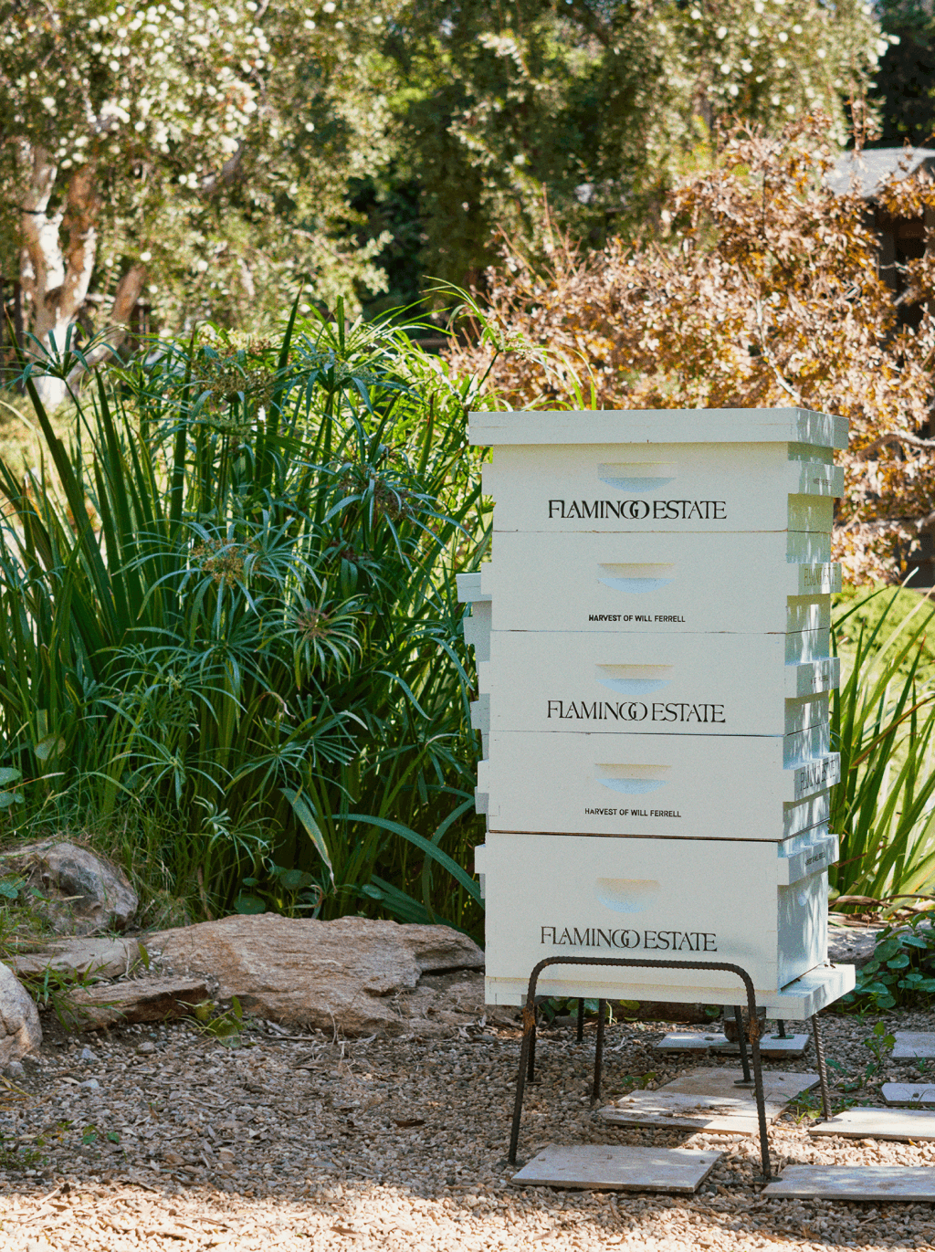 Will Ferrell Honey Flamingo Estate