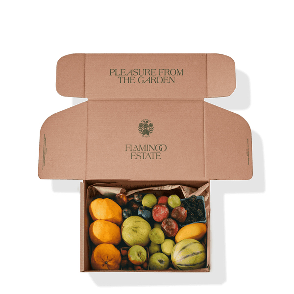 Buy Best Diwali Dry Fruit Gift Boxes | Angroos